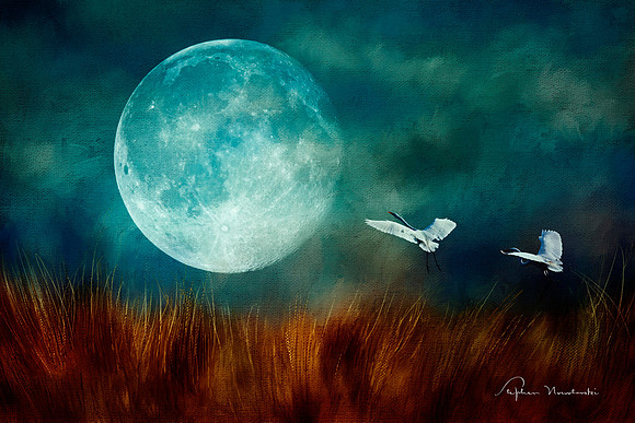 Super moon